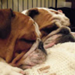 Meet your Posher, Will